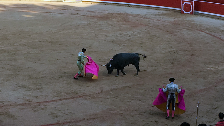 Matador bullfight, San Fermin Festival