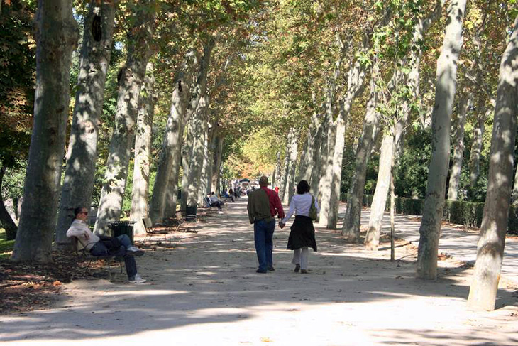 Strolling in Parque del Retiro, Madrid