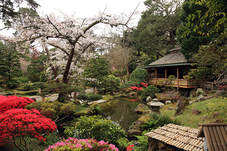 Japanese Tea Garden, Golden Gate Park
