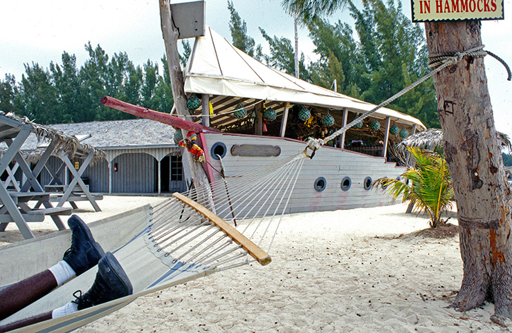 Grand Bahama Island hammock