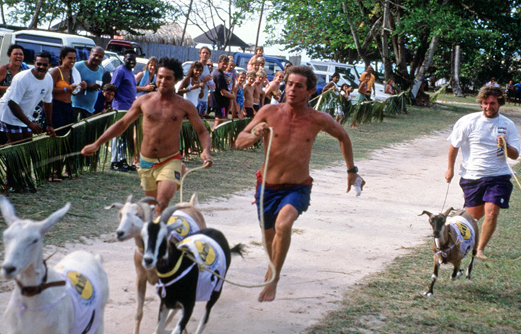 Racing goats on Trinidad