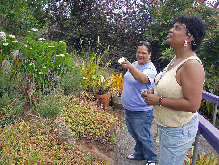 Jodie shows Hawaii native plants to Surlene Grant at the Lavender Farm, Maui