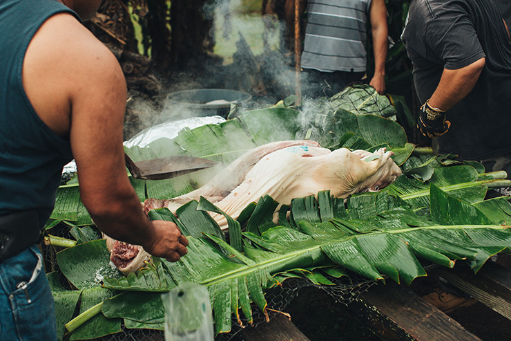 Pig preparations for Luau at Royal Lahaina