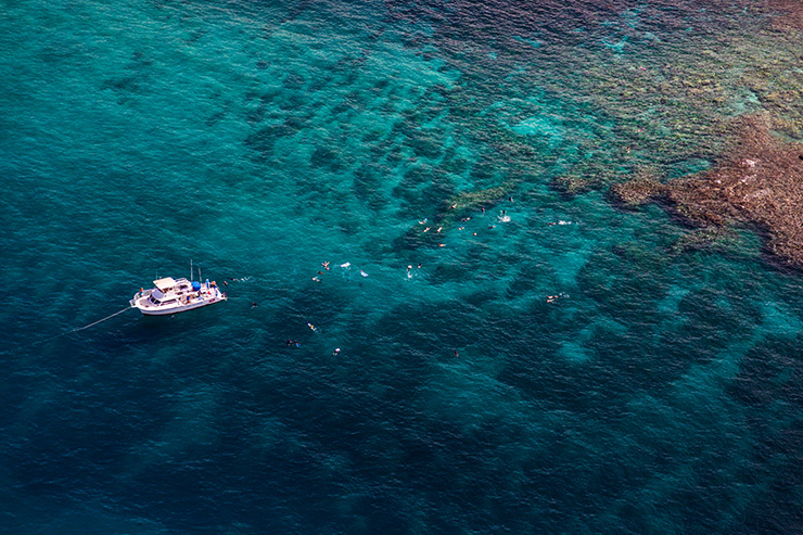 Snorkeling, Exploring Maui's Underwater World