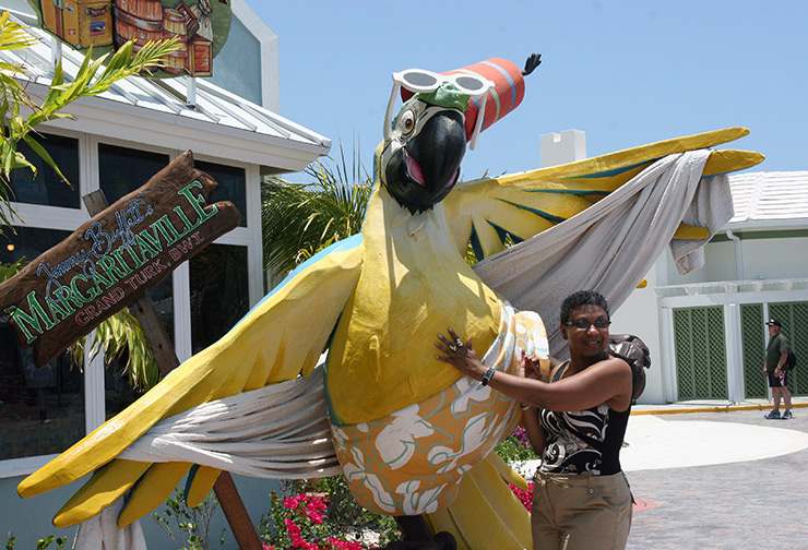 Parrot in front of Margaritaville, Turks & Caicos