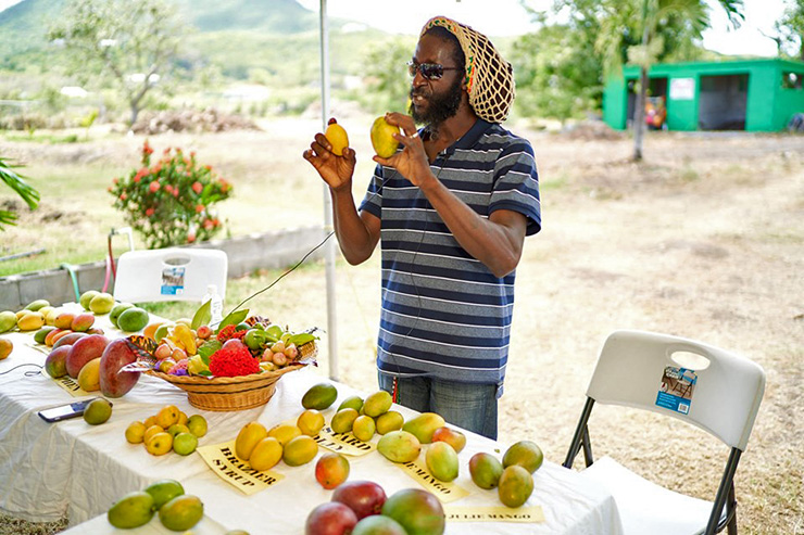 A Nevis vendor selling the island specialty, Mangos