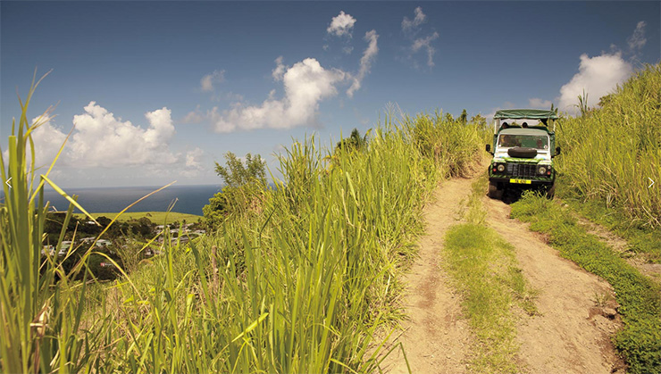 Safari Jeep on a St. Kitts hillside