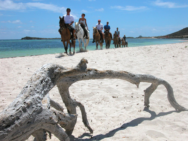 Horseback riding along the beach of St. Maarten Eco-Travel