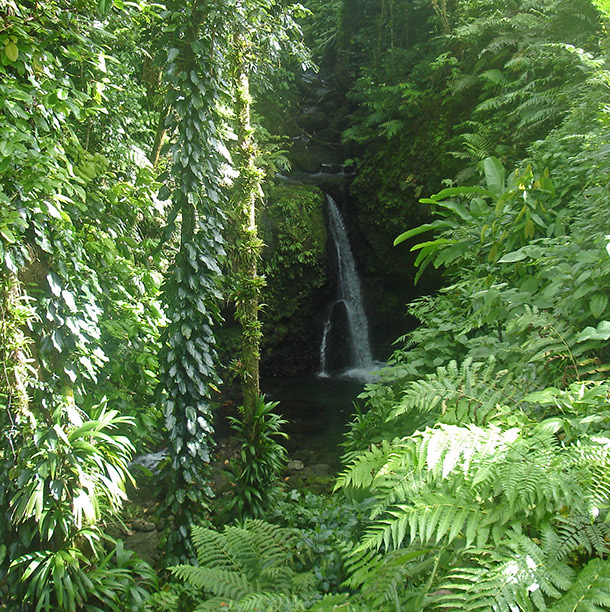 Jack Falls, Dominica Eco-Travel