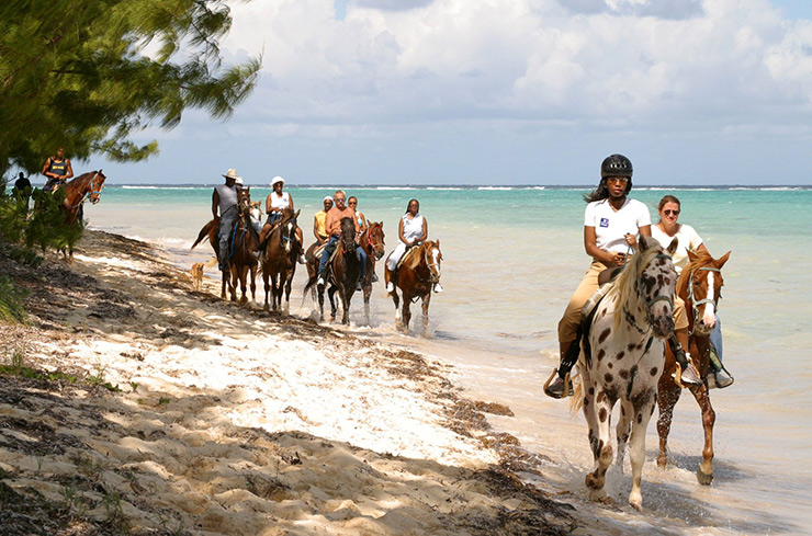 Horseback riding, Grand Cayman Island Eco-Travel