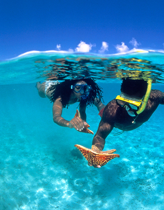 Snorkelers holding starfish