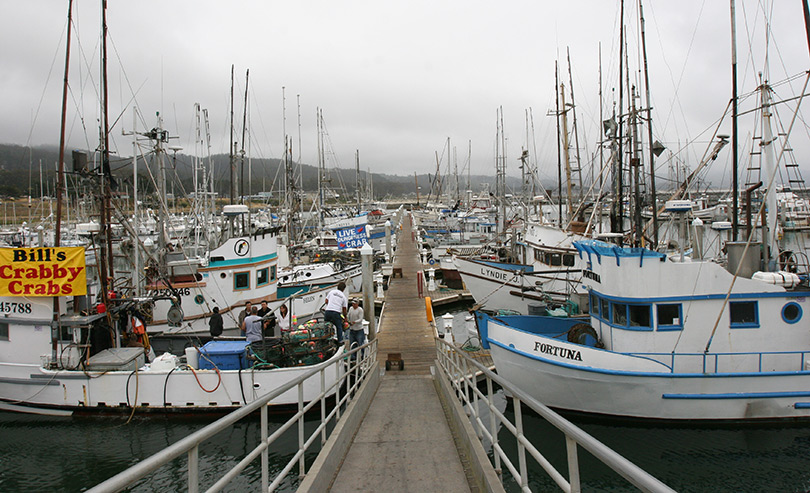 Half Moon Bay Harbor, San Mateo County