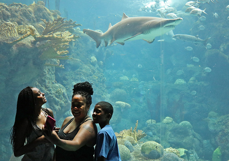 Family visiting the Florida Aquarium, Tampa