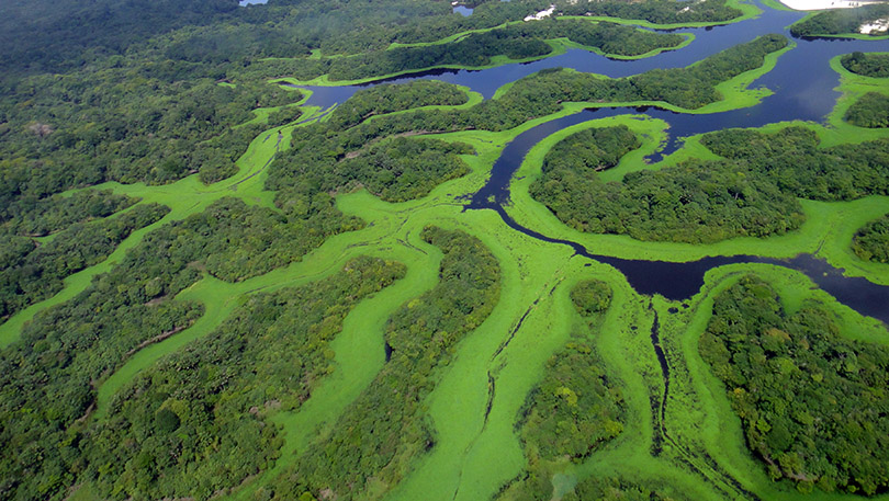 Anavilhanas National Park in Amazonas