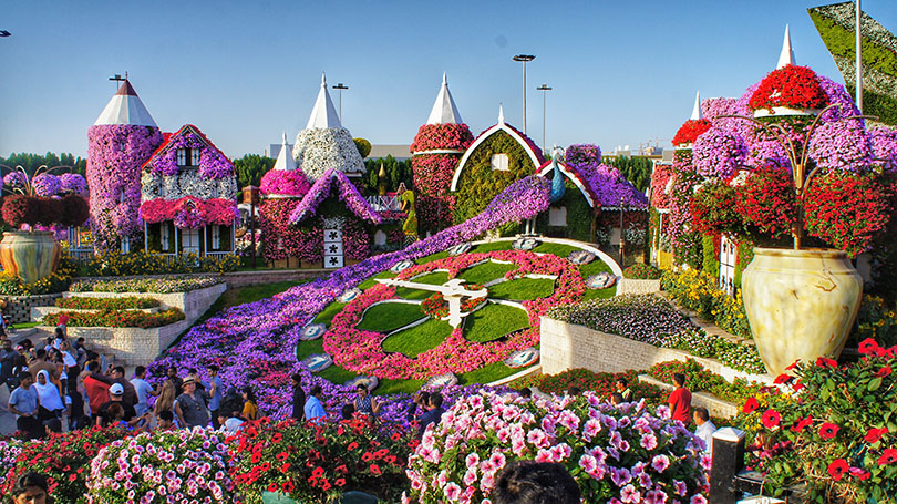 Miracle Garden in Dubai